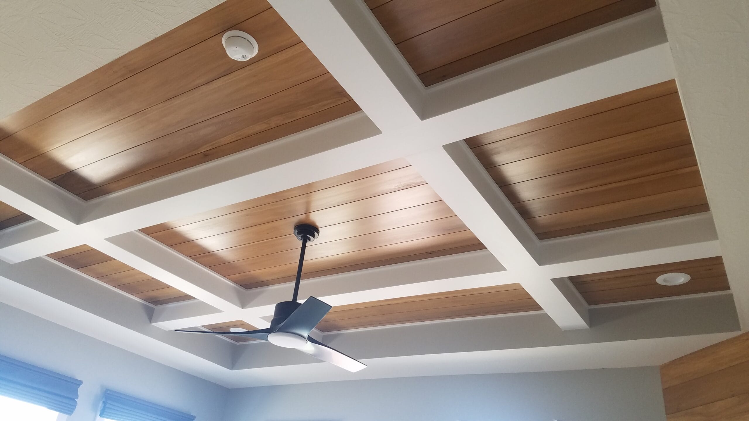 tray ceiling accent shiplap