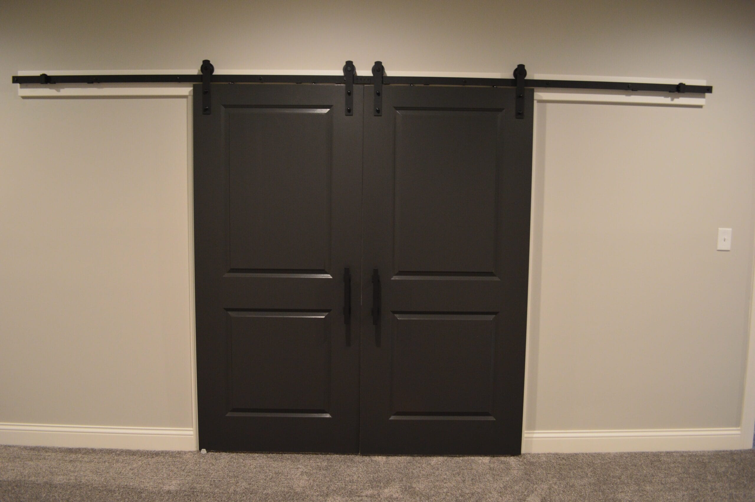 double barn door